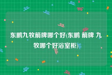 东鹏九牧箭牌哪个好(东鹏 箭牌 九牧哪个好浴室柜)