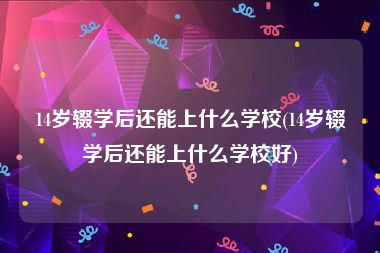 14岁辍学后还能上什么学校(14岁辍学后还能上什么学校好)