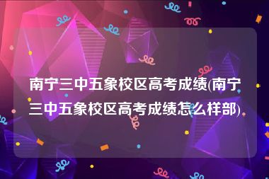 南宁三中五象校区高考成绩(南宁三中五象校区高考成绩怎么样部)