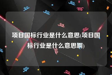 项目国标行业是什么意思(项目国标行业是什么意思啊)