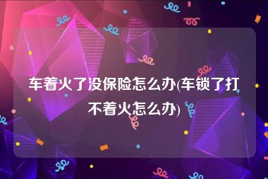 车着火了没保险怎么办(车锁了打不着火怎么办)