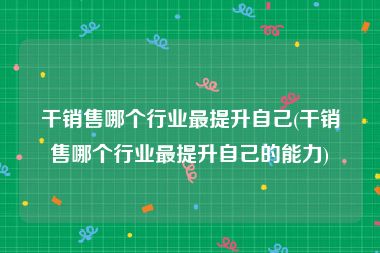 干销售哪个行业最提升自己(干销售哪个行业最提升自己的能力)