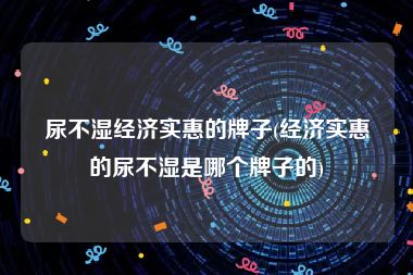 尿不湿经济实惠的牌子(经济实惠的尿不湿是哪个牌子的)