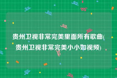 贵州卫视非常完美里面所有歌曲(贵州卫视非常完美小小如视频)