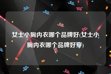 女士小胸内衣哪个品牌好(女士小胸内衣哪个品牌好穿)