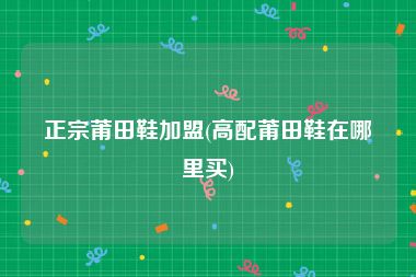 正宗莆田鞋加盟(高配莆田鞋在哪里买)