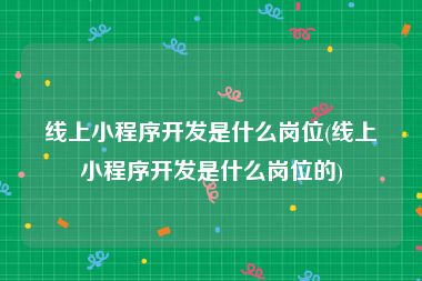 线上小程序开发是什么岗位(线上小程序开发是什么岗位的)