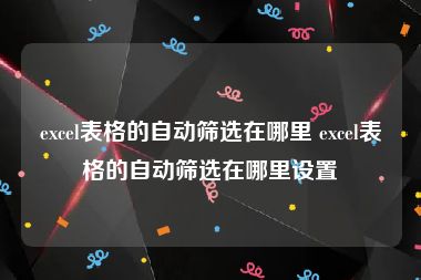 excel表格的自动筛选在哪里 excel表格的自动筛选在哪里设置