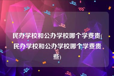 民办学校和公办学校哪个学费贵(民办学校和公办学校哪个学费贵些)