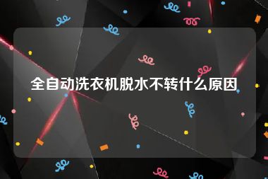 全自动洗衣机脱水不转什么原因