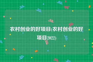 农村创业的好项目(农村创业的好项目2022)