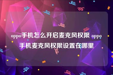 oppo手机怎么开启麦克风权限 oppo手机麦克风权限设置在哪里