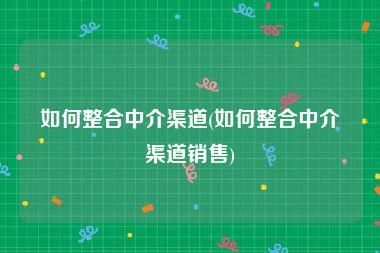 如何整合中介渠道(如何整合中介渠道销售)