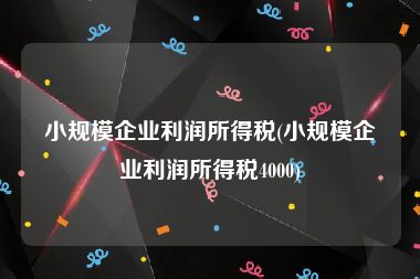 小规模企业利润所得税(小规模企业利润所得税4000)