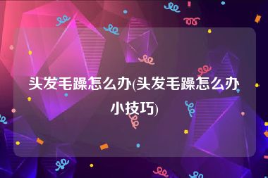 头发毛躁怎么办(头发毛躁怎么办小技巧)