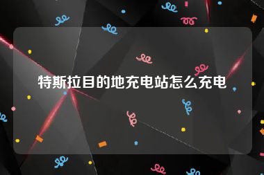 特斯拉目的地充电站怎么充电