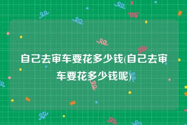 自己去审车要花多少钱(自己去审车要花多少钱呢)