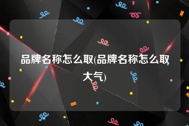 品牌名称怎么取(品牌名称怎么取大气)