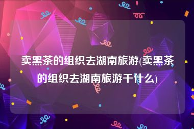 卖黑茶的组织去湖南旅游(卖黑茶的组织去湖南旅游干什么)