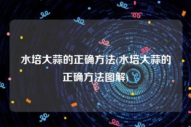 水培大蒜的正确方法(水培大蒜的正确方法图解)