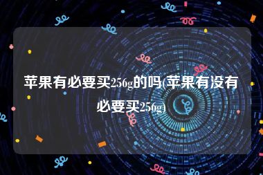 苹果有必要买256g的吗(苹果有没有必要买256g)