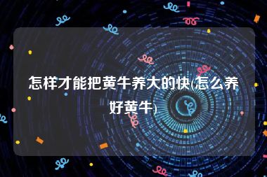 怎样才能把黄牛养大的快(怎么养好黄牛)