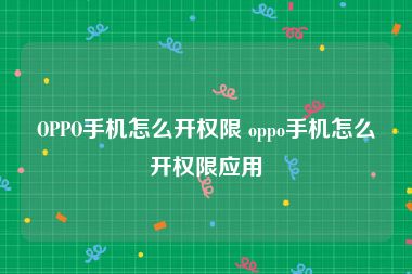 OPPO手机怎么开权限 oppo手机怎么开权限应用