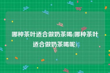 哪种茶叶适合做奶茶喝(哪种茶叶适合做奶茶喝呢)