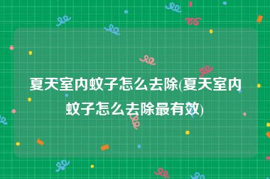 夏天室内蚊子怎么去除(夏天室内蚊子怎么去除最有效)