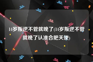14岁叛逆不管就晚了(14岁叛逆不管就晚了认准合肥天使)