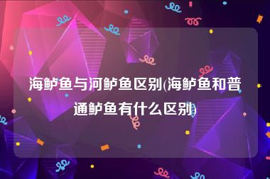 海鲈鱼与河鲈鱼区别(海鲈鱼和普通鲈鱼有什么区别)