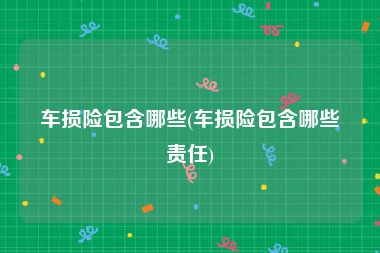 车损险包含哪些(车损险包含哪些责任)