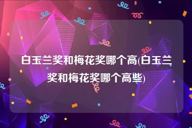 白玉兰奖和梅花奖哪个高(白玉兰奖和梅花奖哪个高些)
