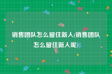 销售团队怎么留住新人(销售团队怎么留住新人呢)