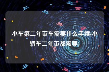 小车第二年审车需要什么手续(小轿车二年审都需要)